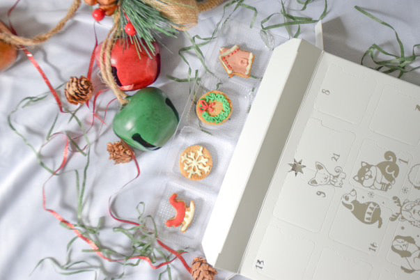 Christmas Cookie Advent Calendar