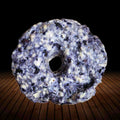 Freeze Dried Pork Donuts