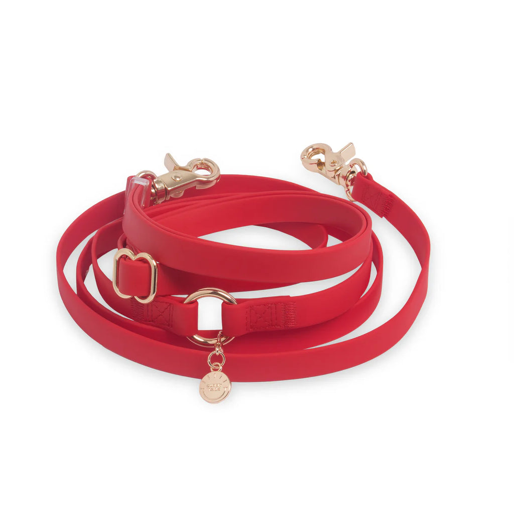 Cloud Lite Hands-Free Leash