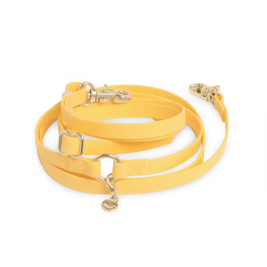 Cloud Lite Hands-Free Leash