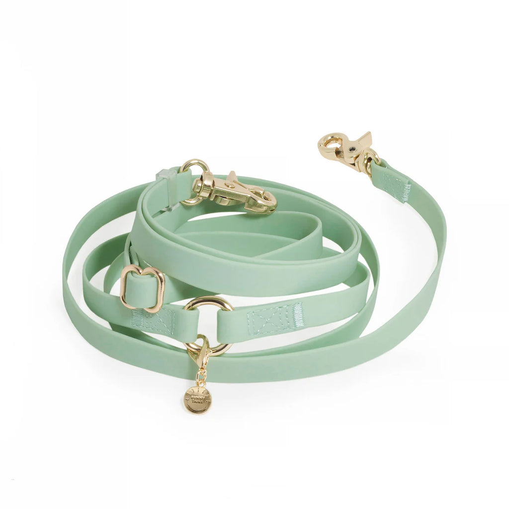 Cloud Lite Hands-Free Leash