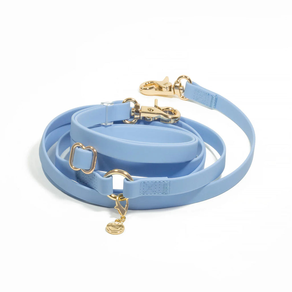 Cloud Lite Hands-Free Leash