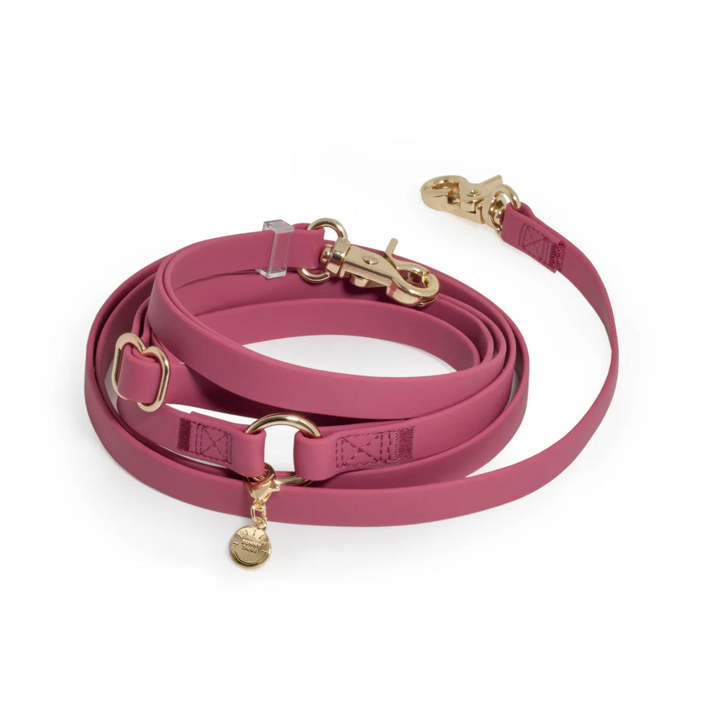 Cloud Lite Hands-Free Leash