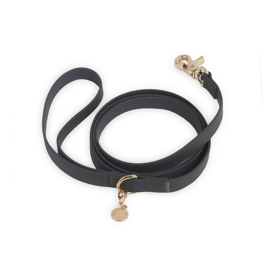 Cloud Lite Standard Leash