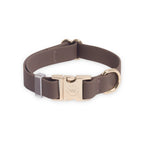 Cloud Lite Collar