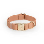 Cloud Lite Collar