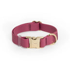 Cloud Lite Collar
