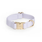 Cloud Lite Collar