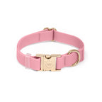 Cloud Lite Collar