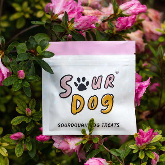 SourDog Sampler Pack