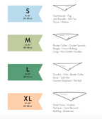 Let's Pawty Bandana (Blue & Pink)