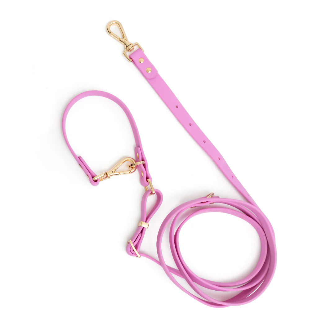 Moodies 4-in-1 Leash