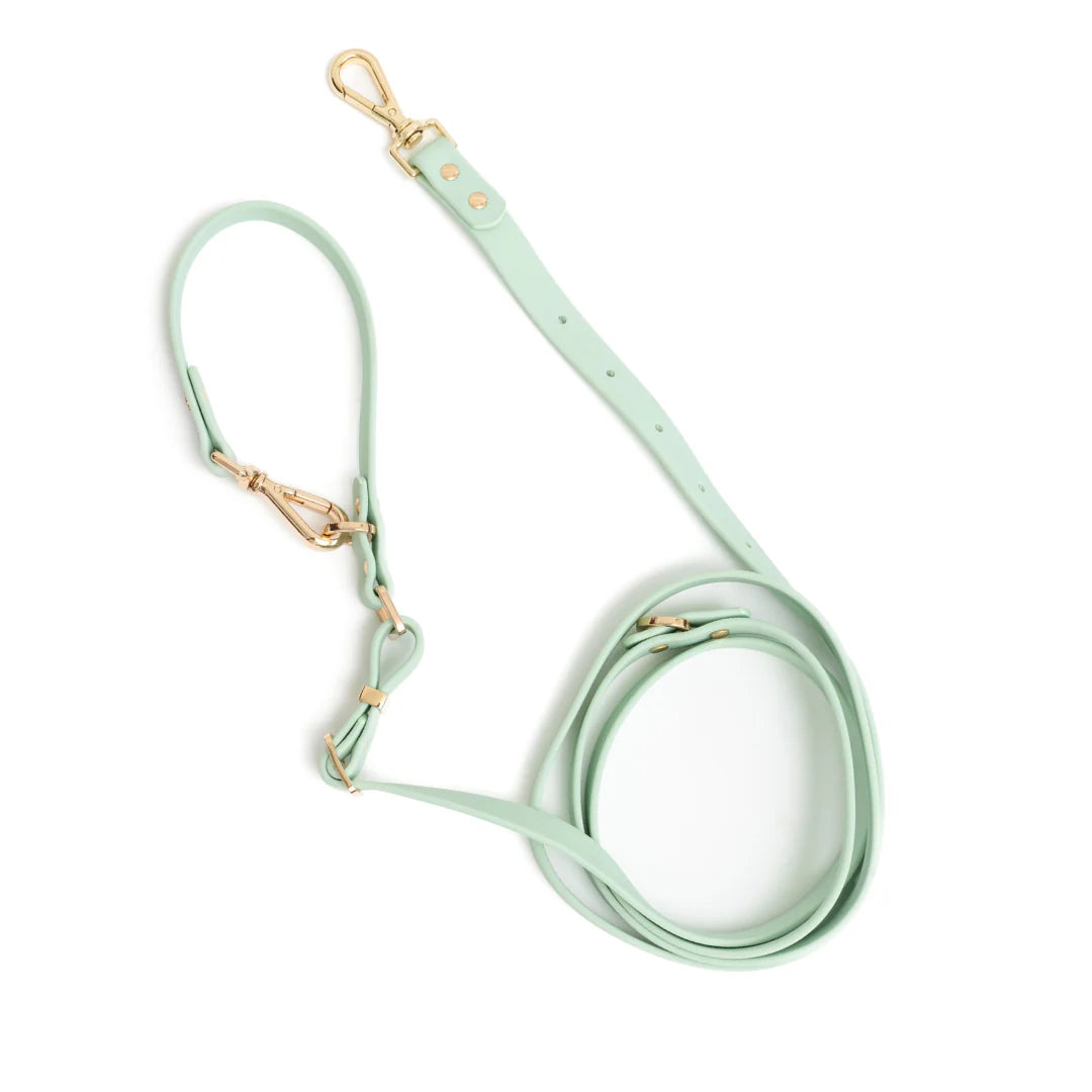 Moodies 4-in-1 Leash