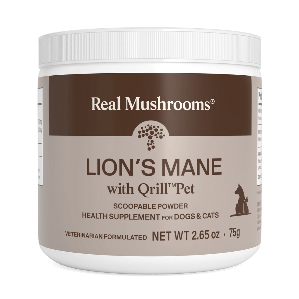 Lion's Mane with Qrill™