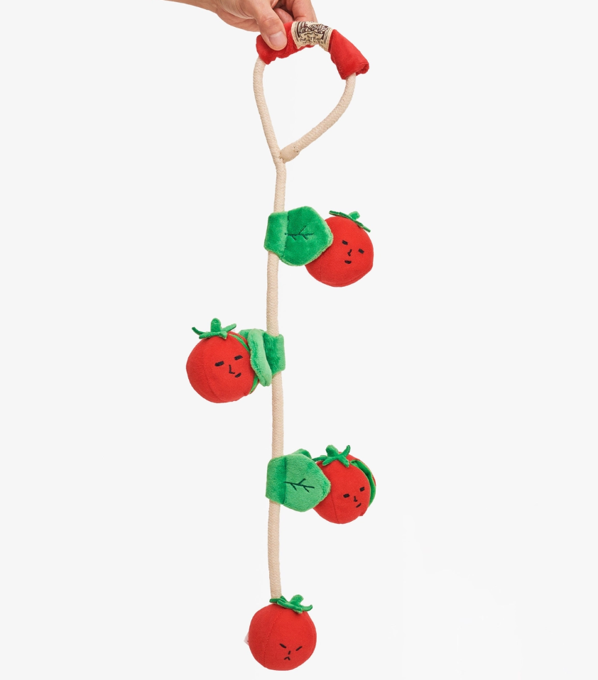 Cherry Tomato Nosework & Tug Toy