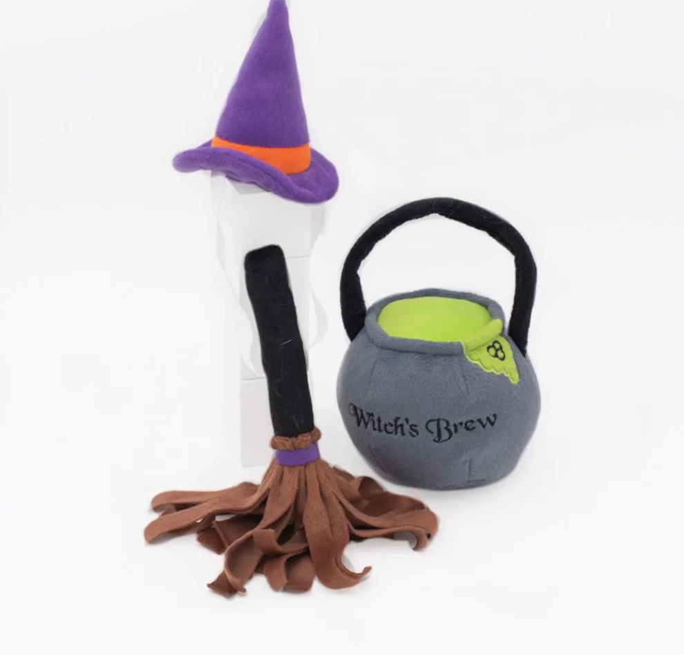 Witch Halloween Costume