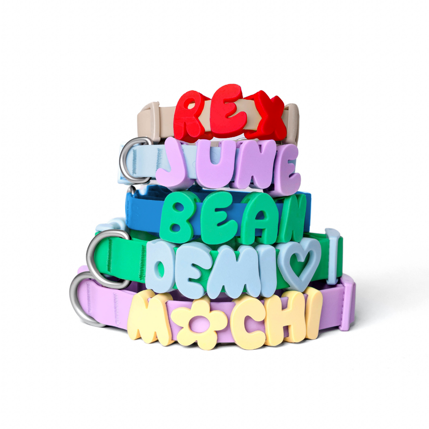 Silicone Personalized Dog Charms