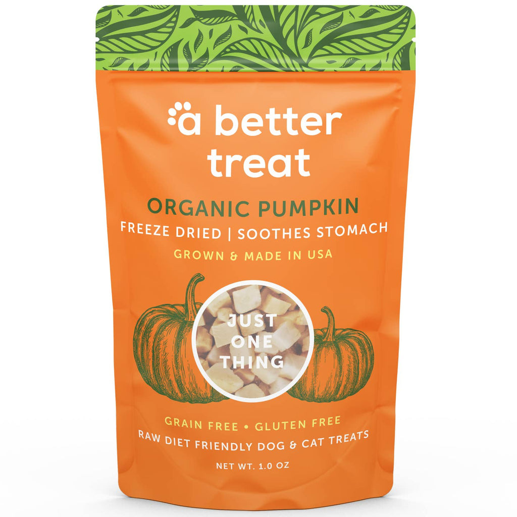 Organic Freeze Dried Pumpkin Treats