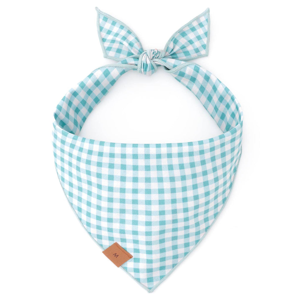 Carrot Patch Reversible Bandana
