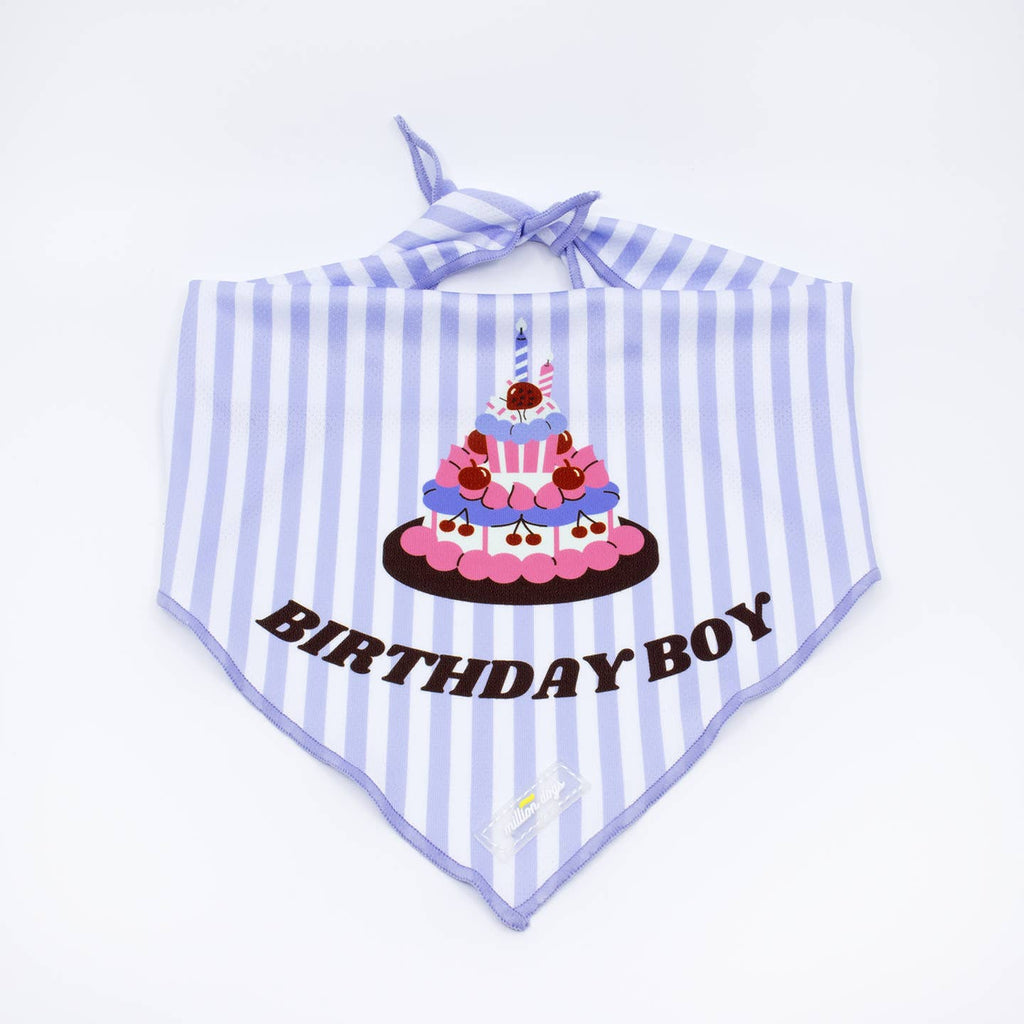 Birthday Boy Cooling Bandana
