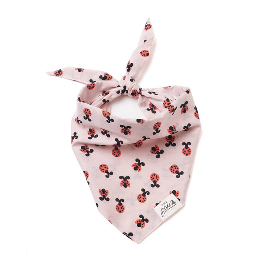 Love Bug Bandana