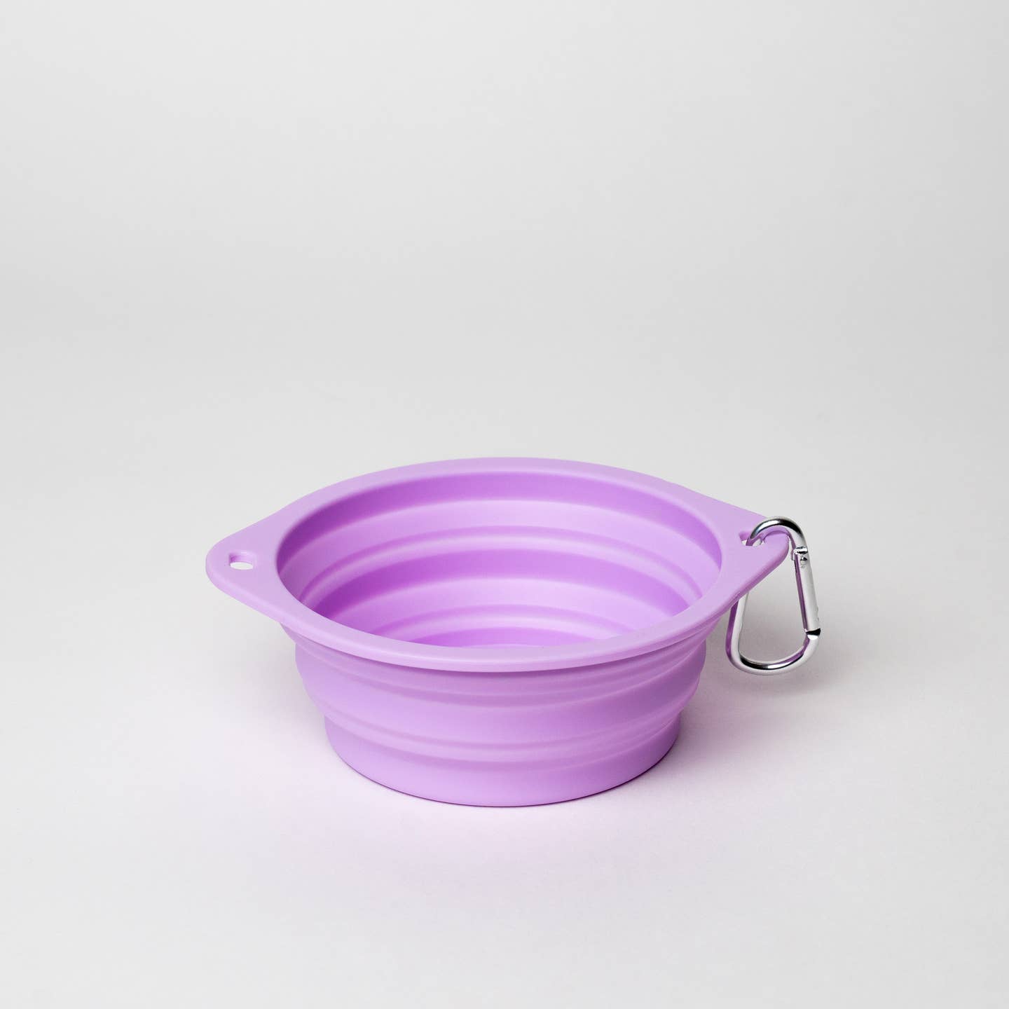 Collapsible Travel Bowl