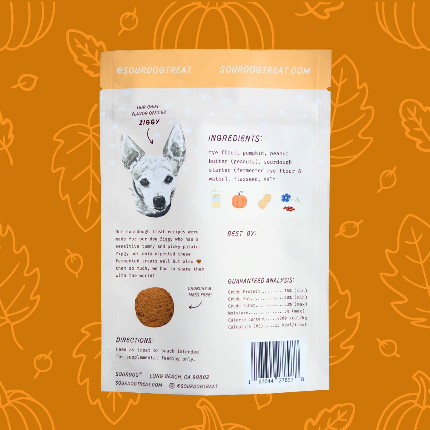 Pupkin Pie Sourdough Treat