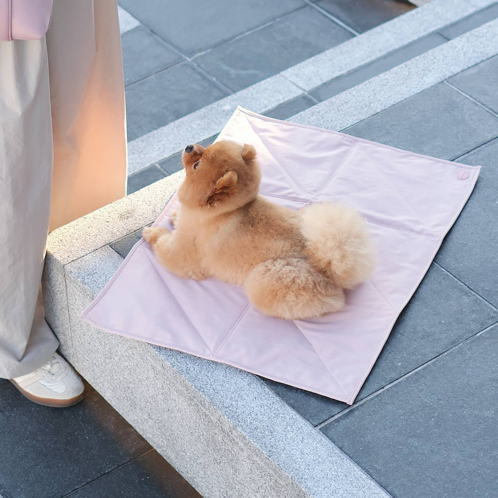 Jouir Pet Travel Mat | Non-Slip, Light-Weight, Foldable