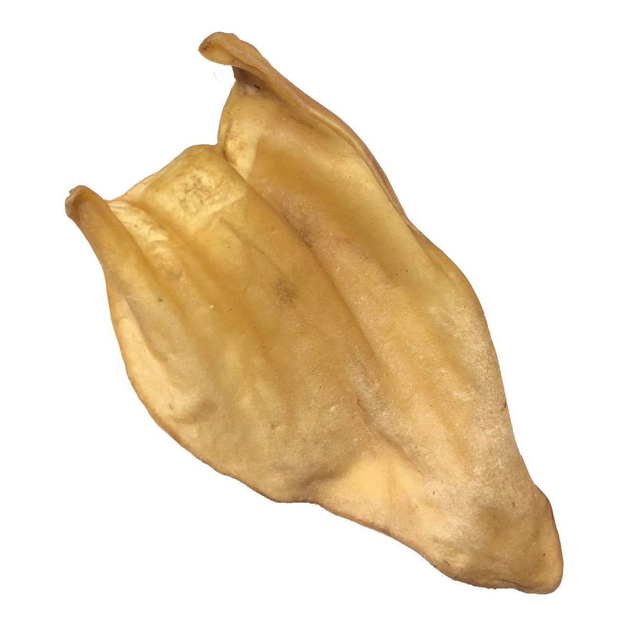 Water Buffalo Ear