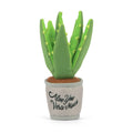 Aloe-Ve You Plant Plush