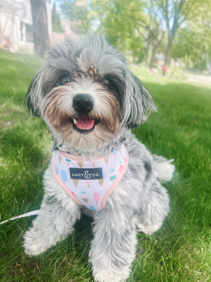 A Lotto Gelato Reversible Harness