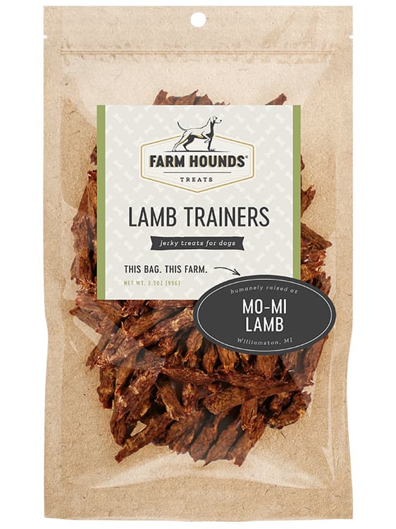 Lamb Trainers