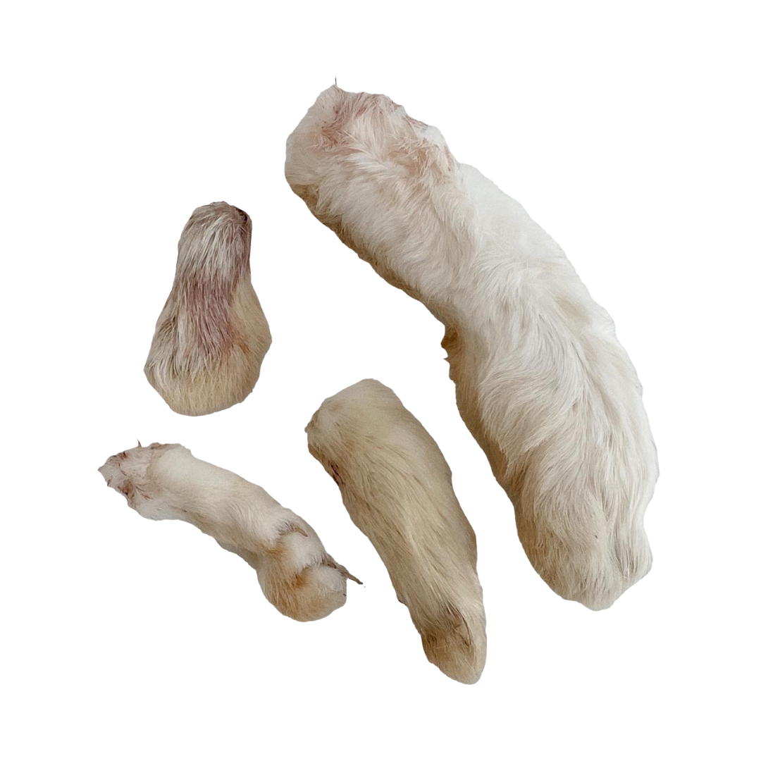 Rabbit Foot